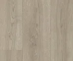 Линолеум IVC Verdi Дуб Селект 543