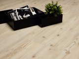 Виниловые Полы IVC Group Primero Click Sugar Pine 22225