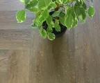 Виниловые полы Afloor Herringbone BM 005-H