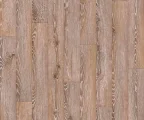 Линолеум Juteks (Ютекс) Magnit Gotick Oak 2